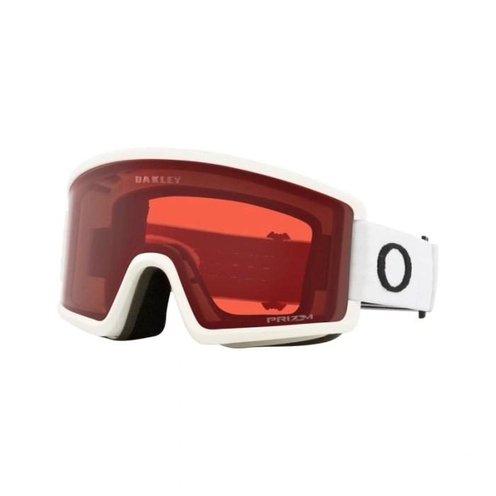 Oakley Snow Goggles Target Line L 